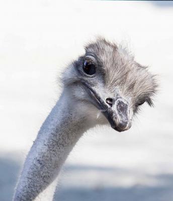 Прикрепленное изображение: _MG_8700.jpg